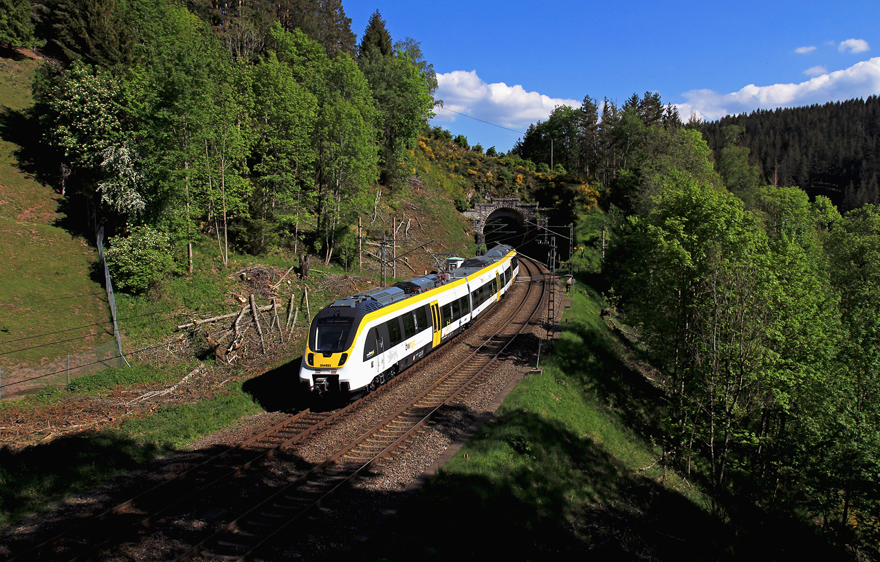 http://www.badische-schwarzwaldbahn.de/DSO/G184.jpg
