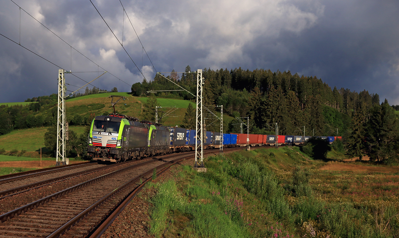 http://www.badische-schwarzwaldbahn.de/DSO/H213.jpg