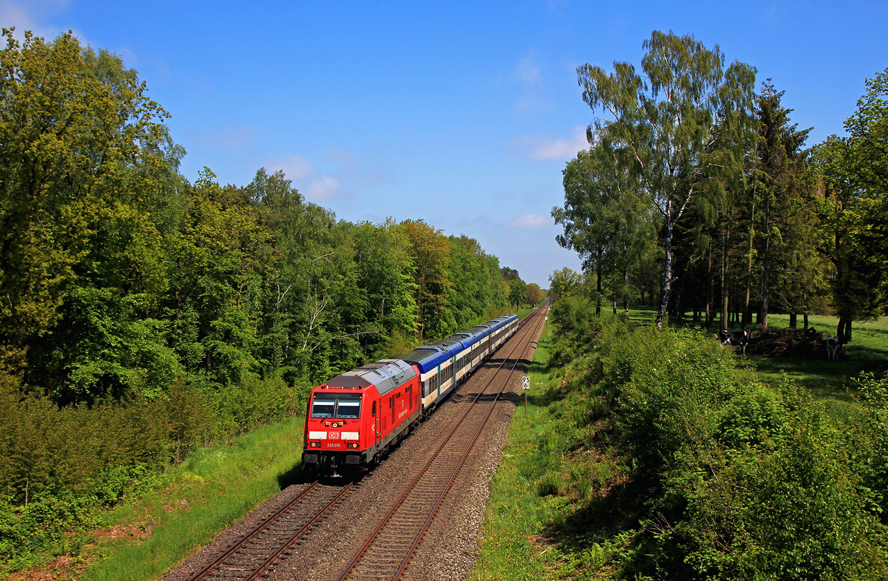 http://www.badische-schwarzwaldbahn.de/DSO/H500.jpg