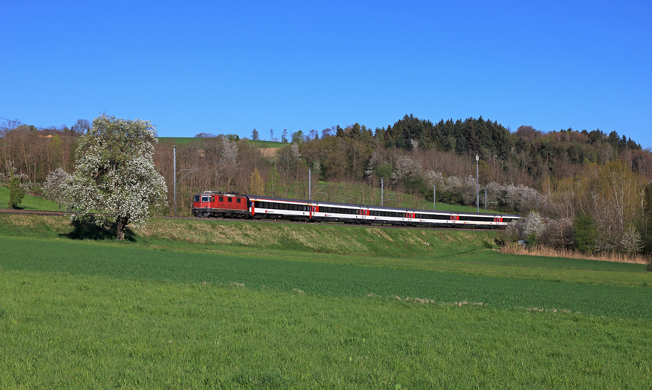 http://www.badische-schwarzwaldbahn.de/DSO/I26.jpg