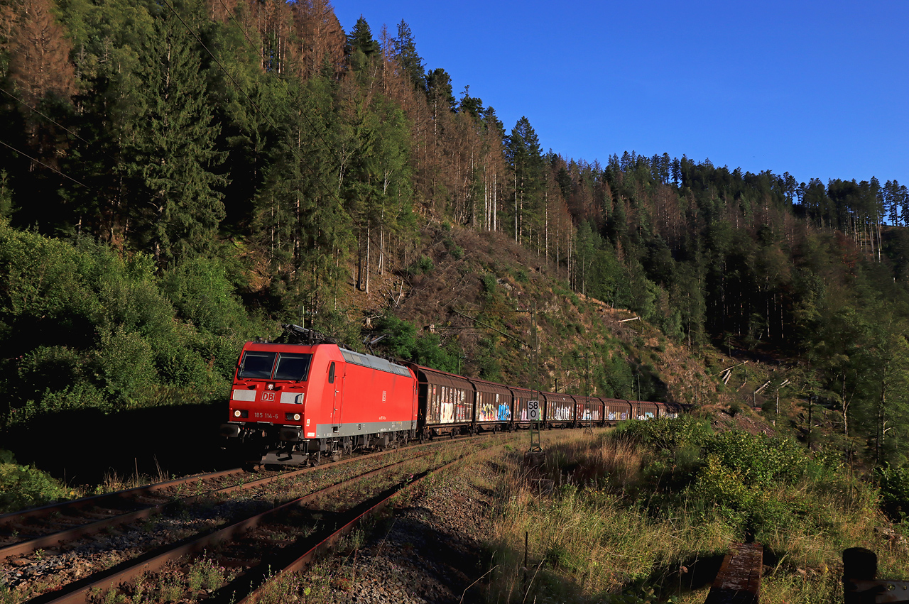 http://www.badische-schwarzwaldbahn.de/DSO/I369.jpg