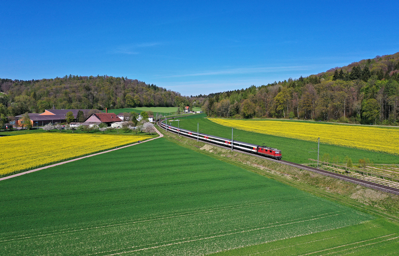 http://www.badische-schwarzwaldbahn.de/DSO/I68.jpg